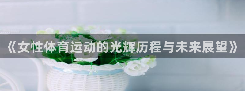 成都金熊猫体育
