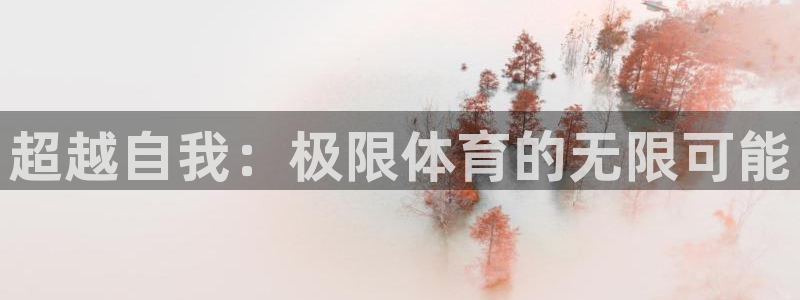 熊猫体育app官方下载最新版