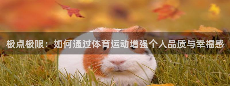 熊猫体育在线观看