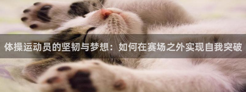 熊猫体育网址