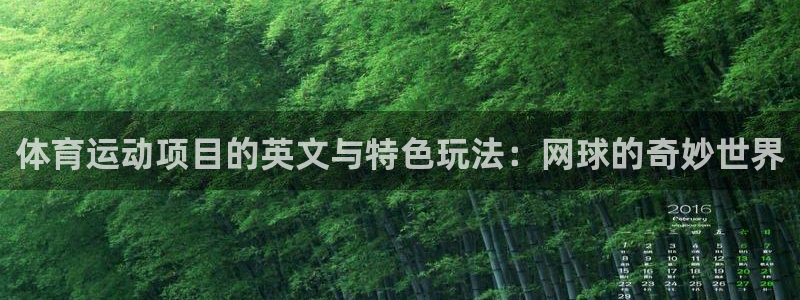 熊猫体育在线观看