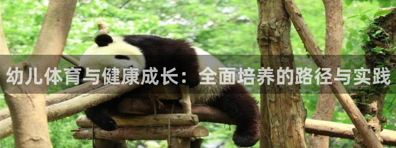 熊猫体育官网